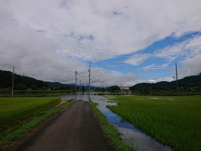 2021大雨の後の田んぼ