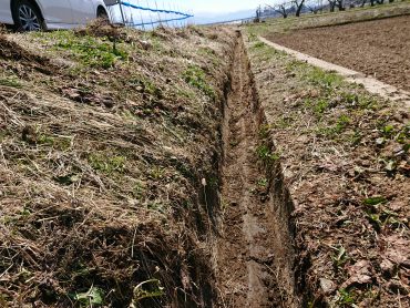 美味しいお米作り 水路の掃除後