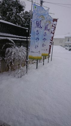 雪の直売所