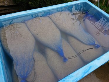 籾の消毒