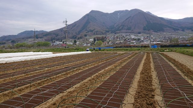 2019年お米作り