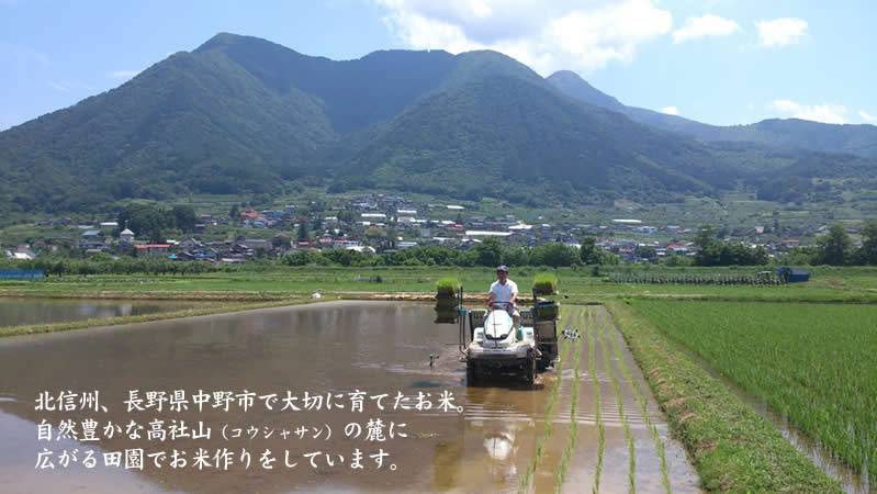 北信州、長野県中野市で大切に育てたお米。 自然豊かな高社山の麓に広がる田園で お米作りをしています。