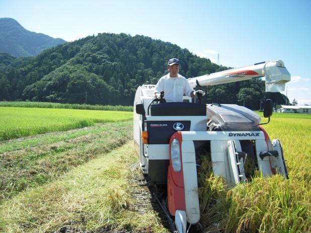収穫稲刈り