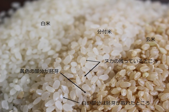 玄米,白米,分付き米