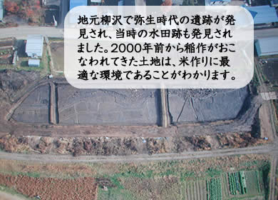 地元柳沢で弥生時代の遺跡が発見され、当時の水田跡も発見されました。2000年前から稲作がおこなわれてきた土地は、米作りに最適な環境であることがわかります。